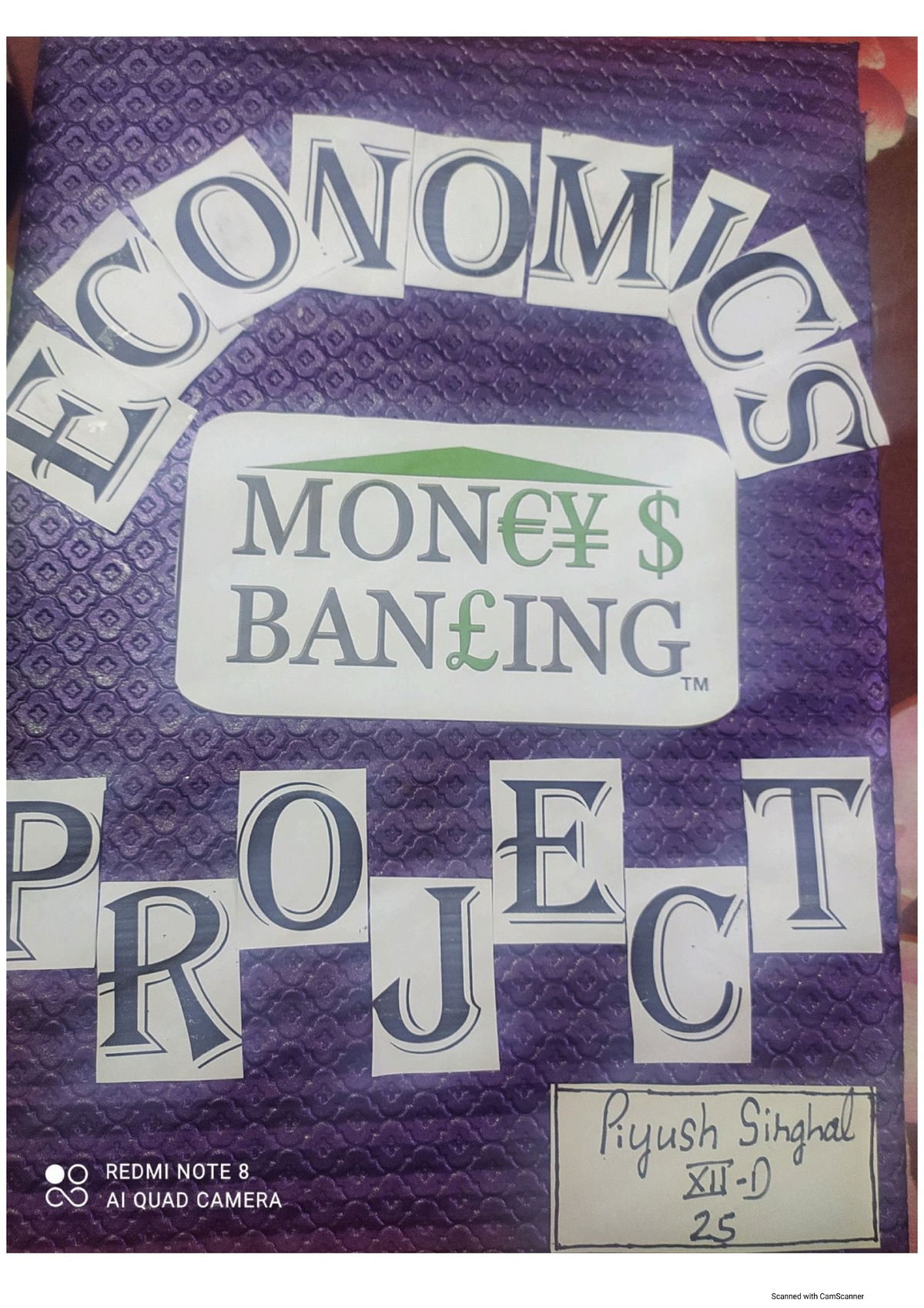 Economics Project on Money and Banking (Class XII) - Studocu