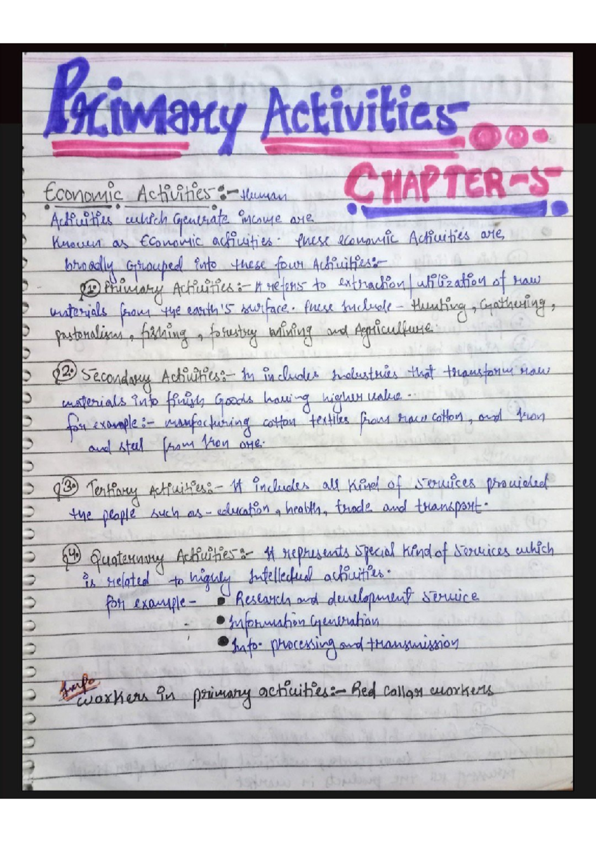 Primary Activities in Economics: Comprehensive Study Notes - Studocu