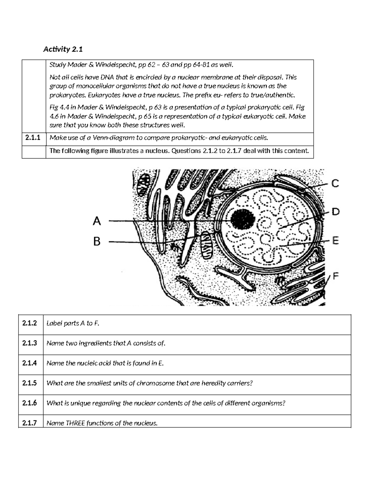 Life 112 Activity 2 - Exploring Prokaryotic and Eukaryotic Cells - Studocu