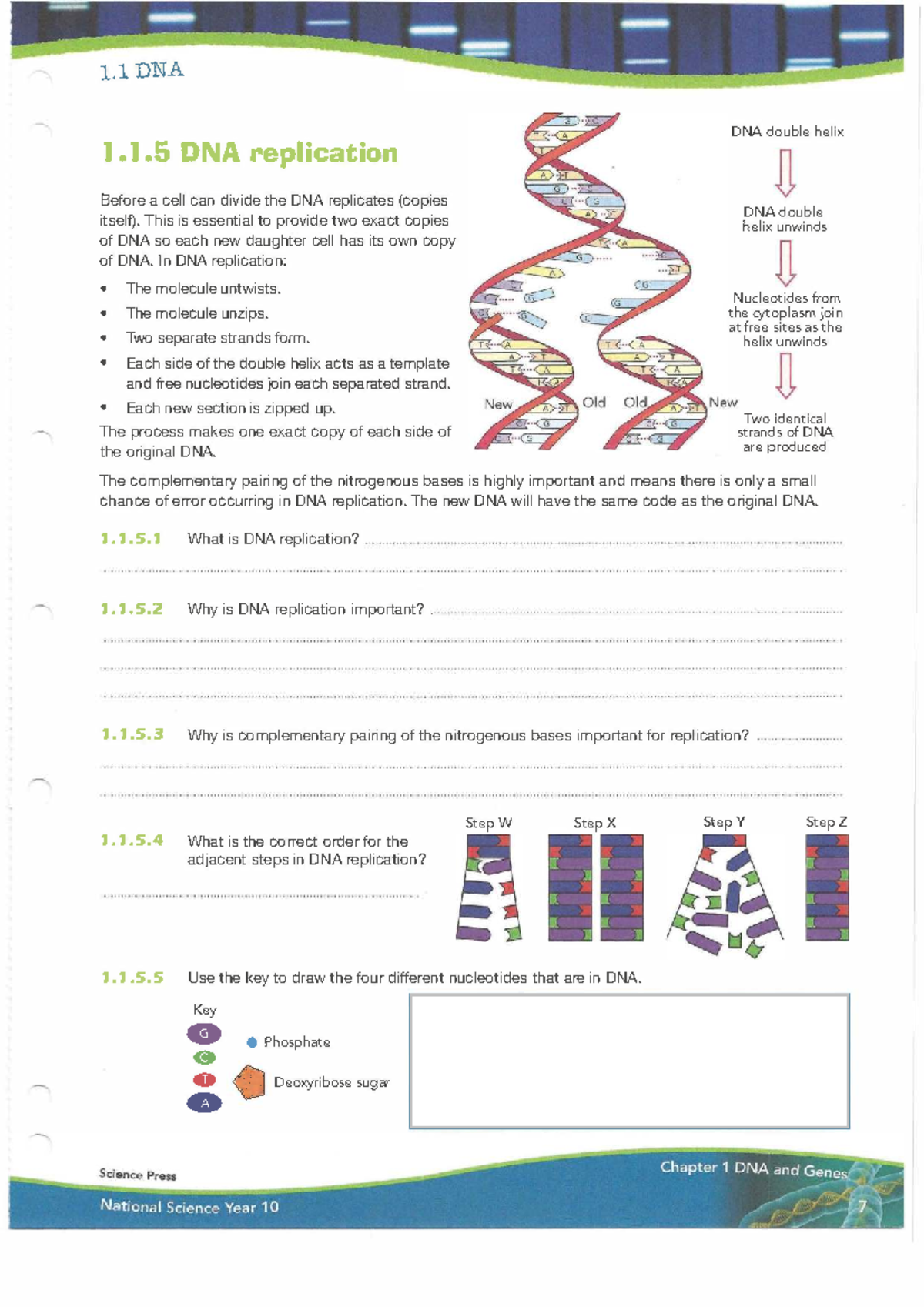 1.1.5 DNA Replication Overview and Key Concepts - Studocu