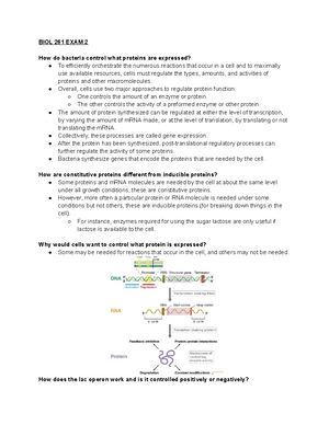 Microbiology Exam 1 Study Guide - Chapter 1 – “The Microbial World ...
