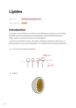 Protides - BUT GB BMB1 - Protides Cours Biochimie structurale R1 ...