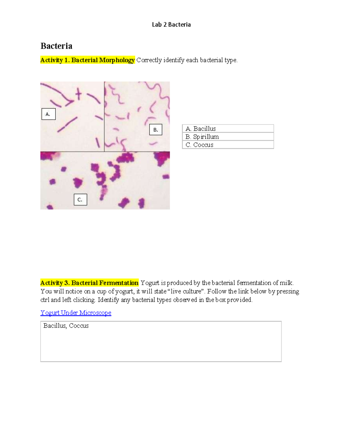 Lab 2 Bacteria Answer Key: Morphology & Fermentation Insights - Studocu