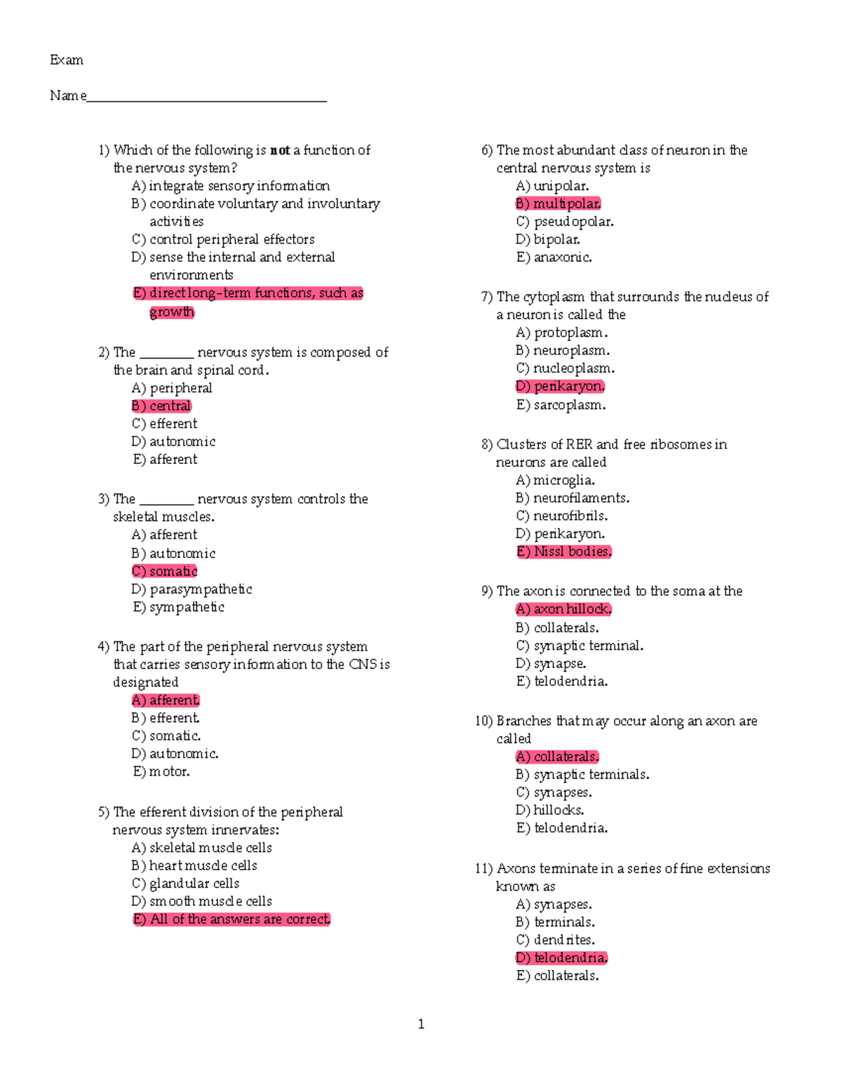 BIOL 101 Final Exam: Nervous System Functions - Studocu