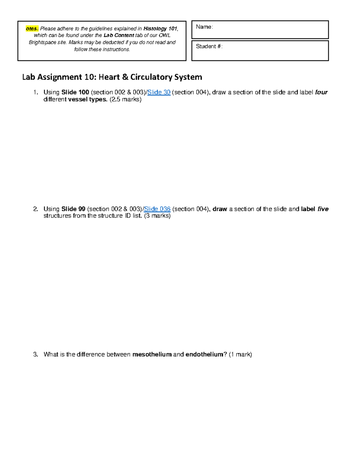 Lab 10 assignment Heart Circulatory System FW24-25 - Name: Student ...