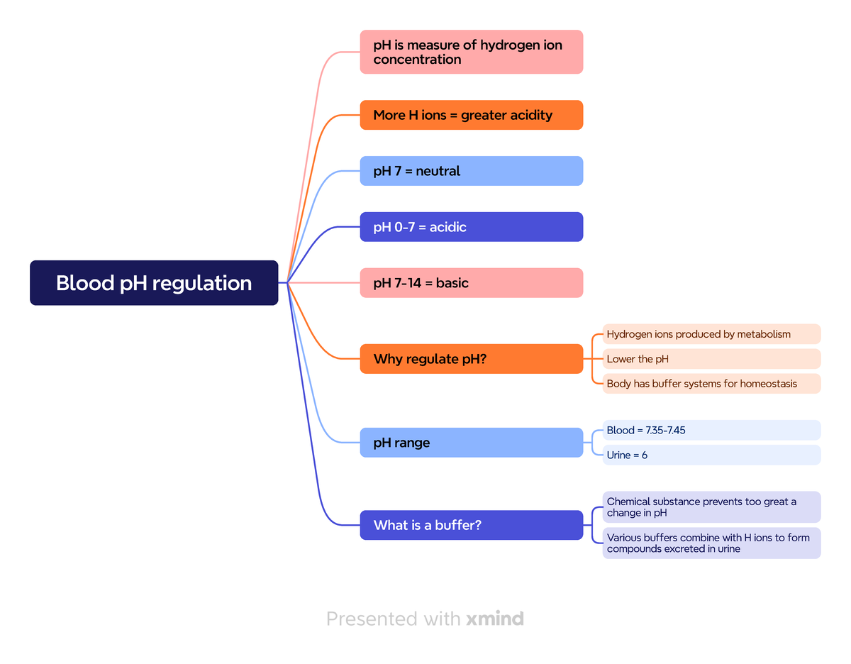 Blood p H regulation - Mindmap - Blood pH regulation pH is measure of ...