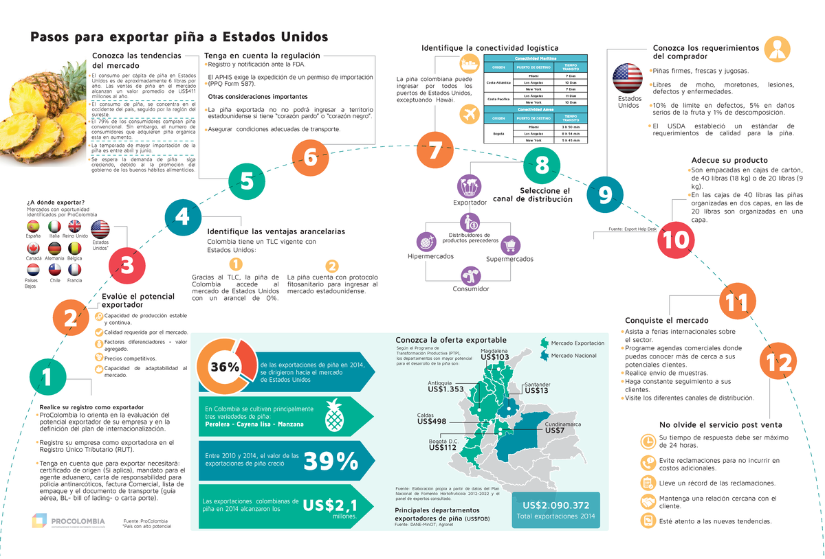 Infografia pina - Pasos para exportar piña a Estados Unidos Identifique ...
