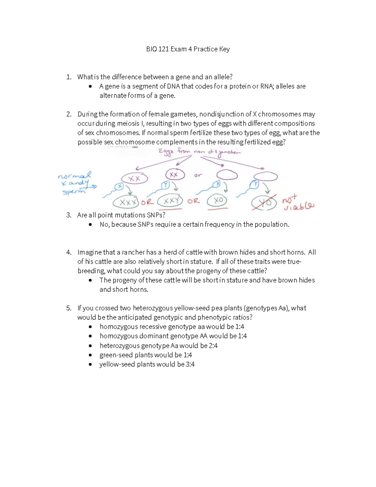 BIO 121 Exam 4 Practice Questions and Key Answers - BIO 121 Exam 4 ...