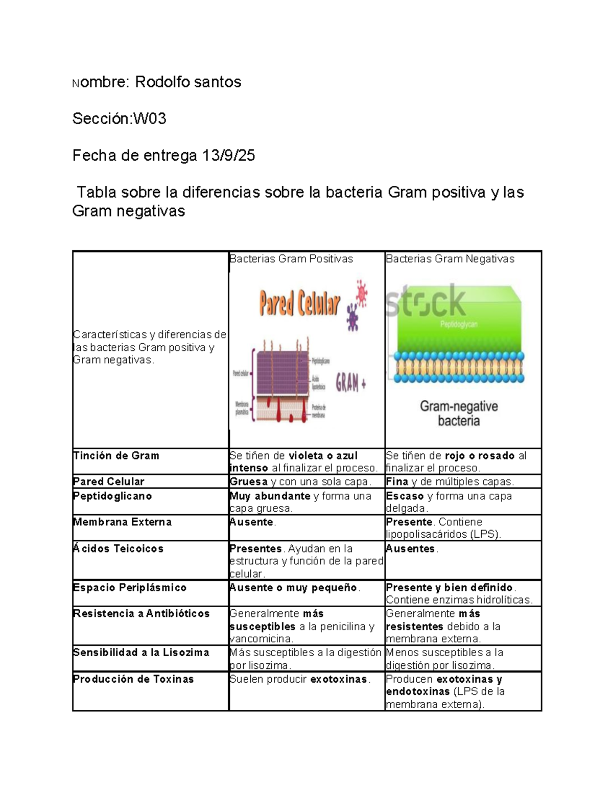 Diferencias entre Bacterias Gram+ y Gram- en la Tinción de Gram - Studocu