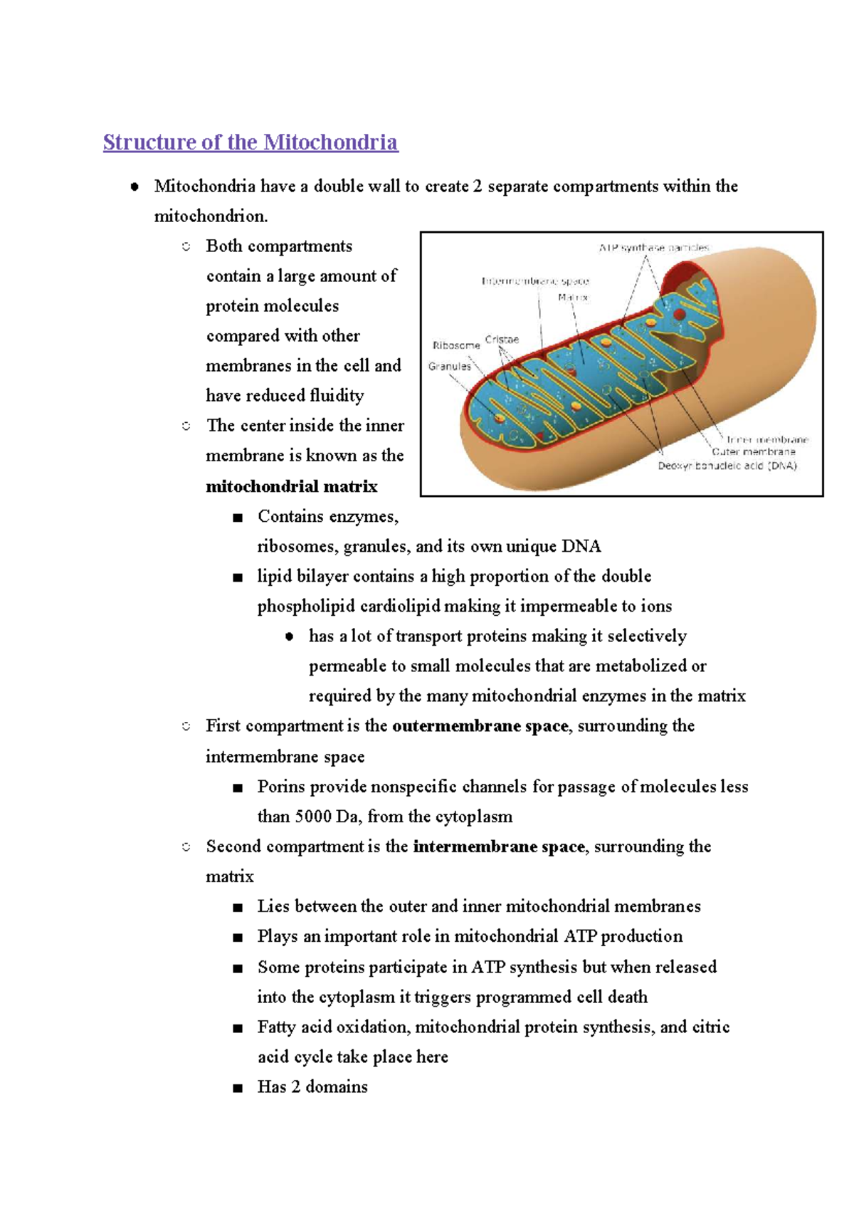 BBS1001 Case Study: Structure and Function of Mitochondria - Studeersnel