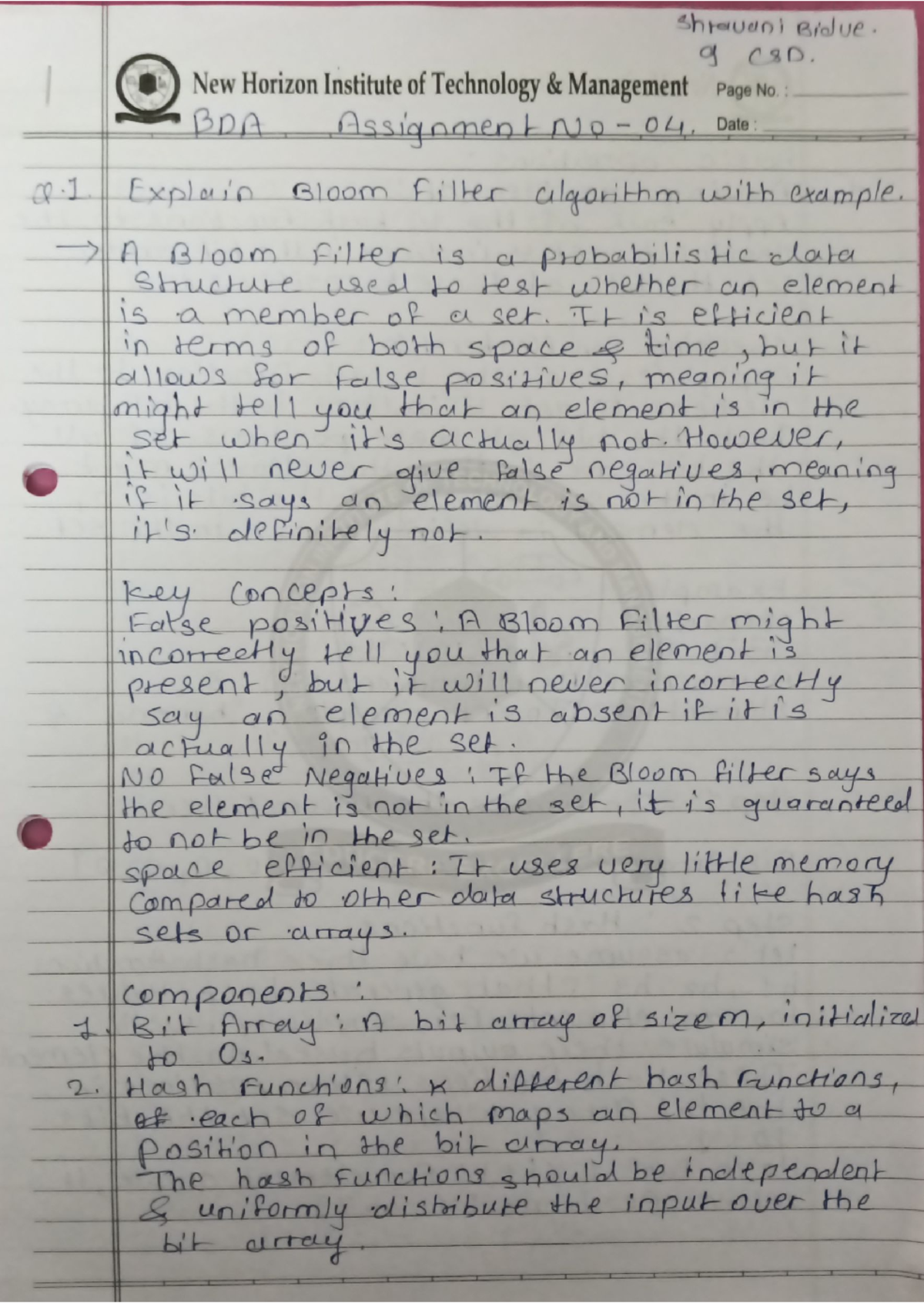 CSD BDA Assignment 4: Bloom Filter & Data Stream Management Concepts ...