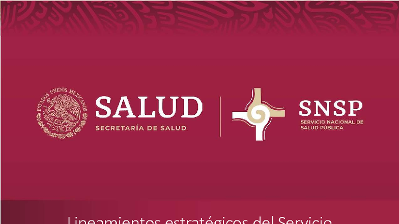 Lineamientos Estratégicos del SNSP - Salud Pública 2023 - Studocu