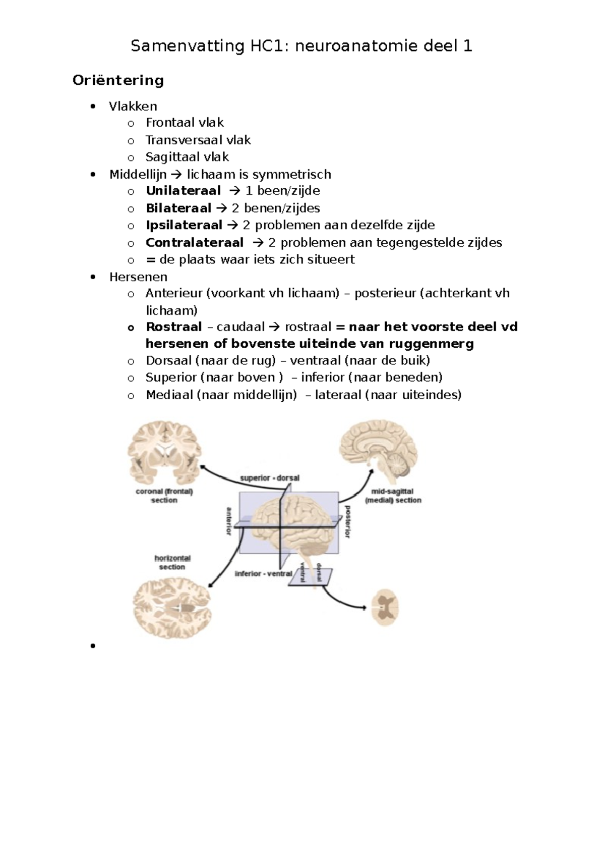 HC2 neuroanatomie deel 1 - Oriëntering Vlakken o Frontaal vlak o ...