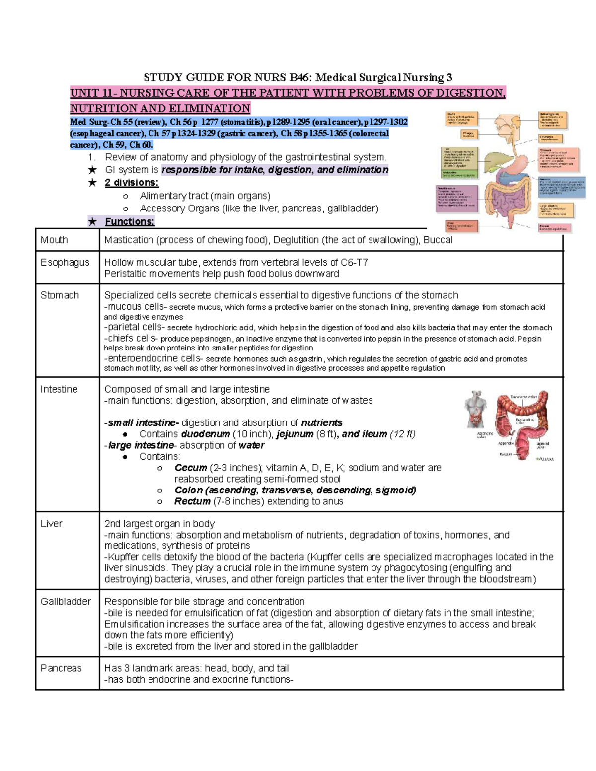 NURS B46: Study Guide for Medical Surgical Nursing on GI Disorders ...