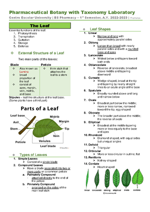Copy of Intro TO Botany - Module 1 ~ INTRODUCTION TO BOTANY Botany ...