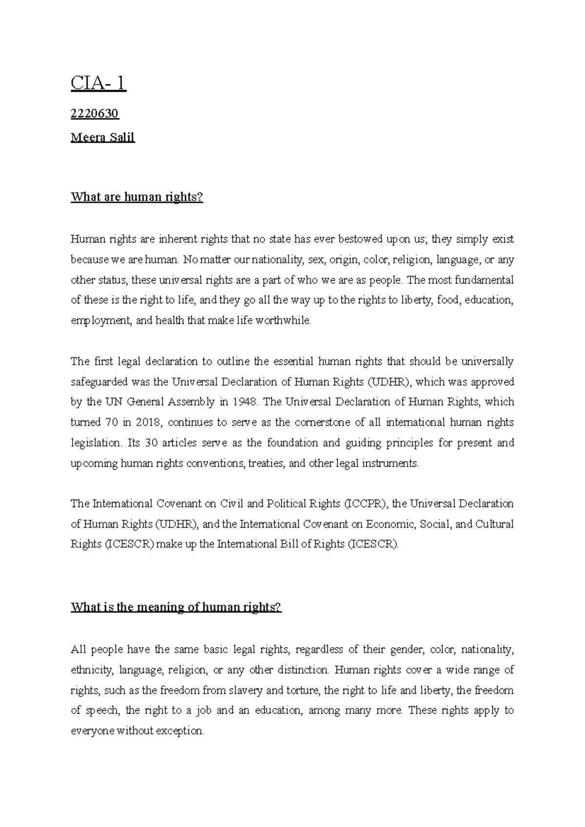 Human Rights Law Overview: Key Concepts and Legal Framework (2220630 ...
