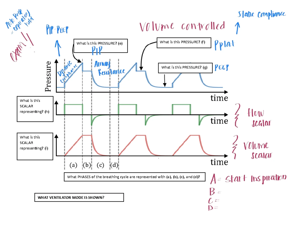 Chapter 7: Gas Diffusion and Its Mechanisms in Respiratory Physiology ...
