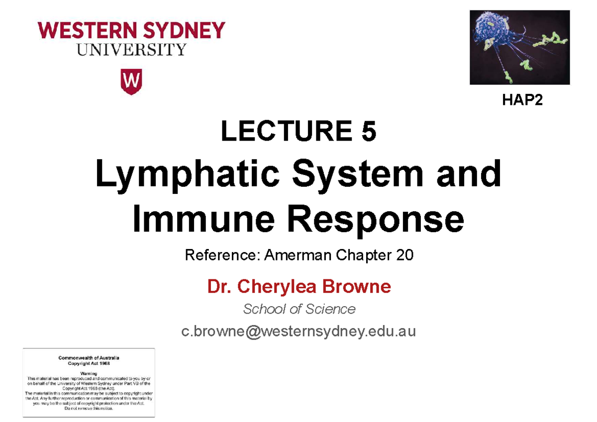HAP2 LECTURE 5: Lymphatic System & Immune Response Overview - Studocu