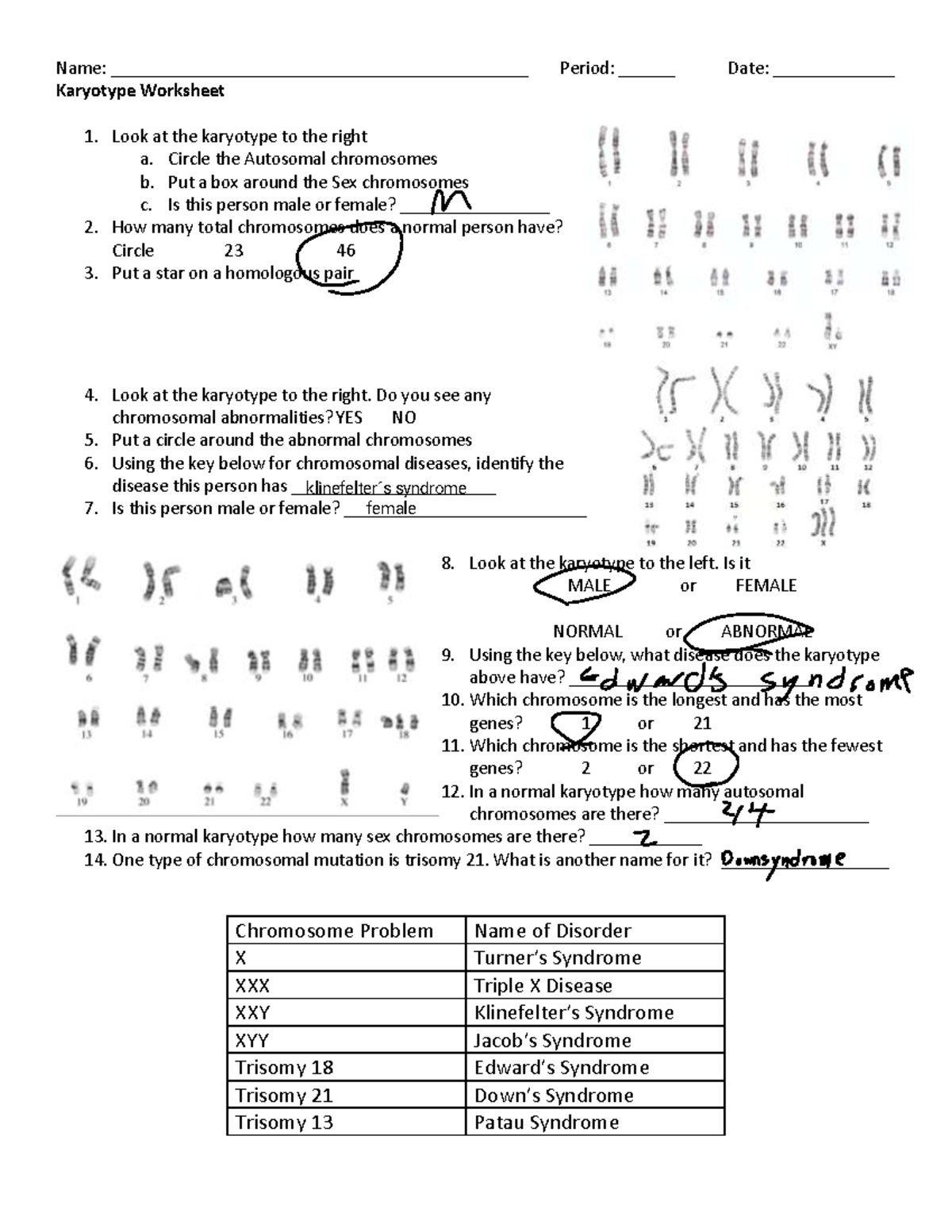 Karyotype Worksheet (ENZO Attali) - Chromosomal Analysis Guide - Studocu