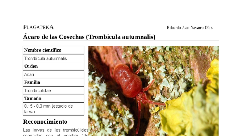 PLAGATEKA: Ficha del Ácaro de las Cosechas (Trombicula autumnalis ...