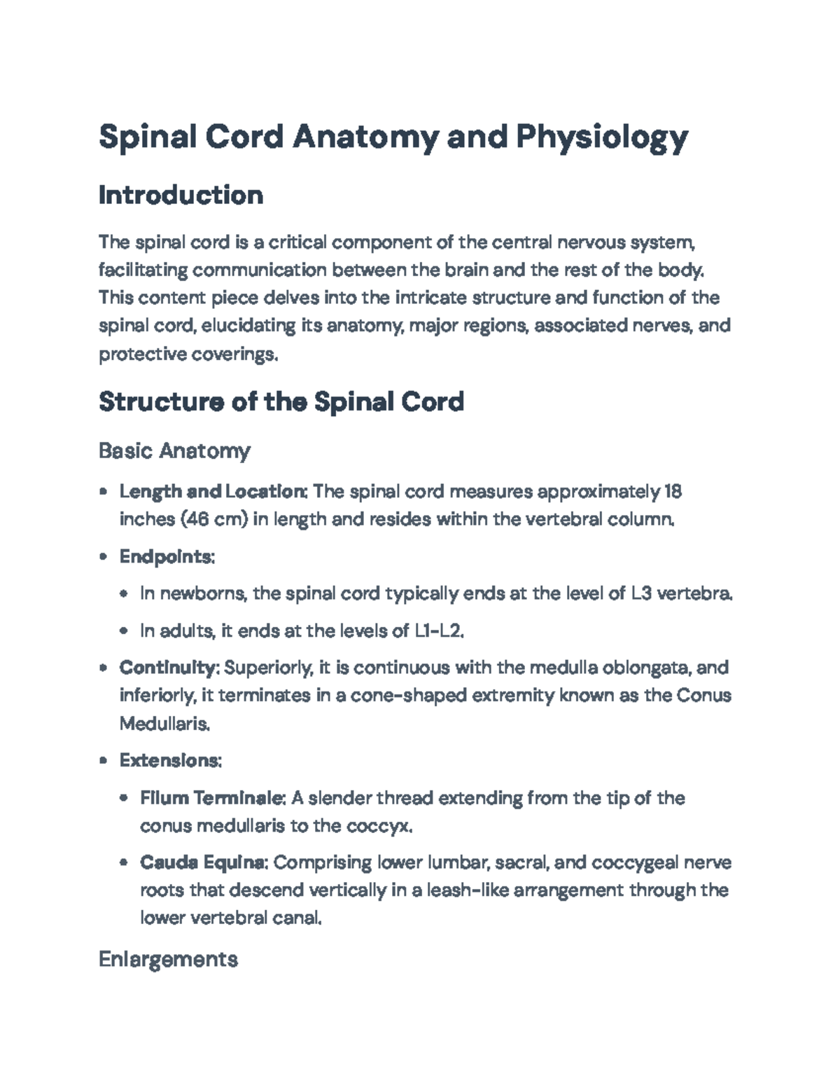 Spinal Cord Anatomy & Physiology Overview - BIOL 101 Study Notes - Studocu