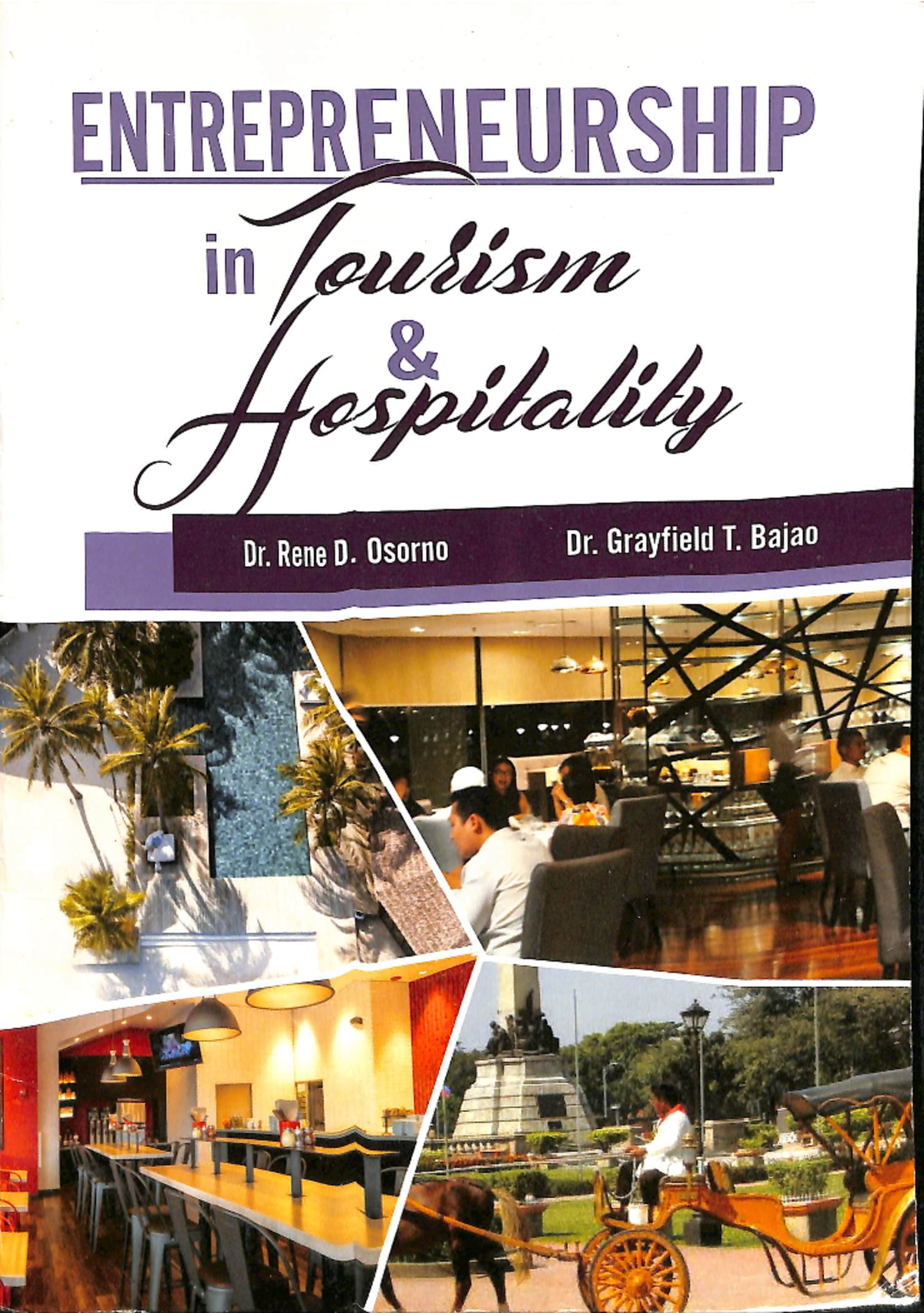 Entrepreneurship in Tourism and Hospitality: Insights and Concepts ...