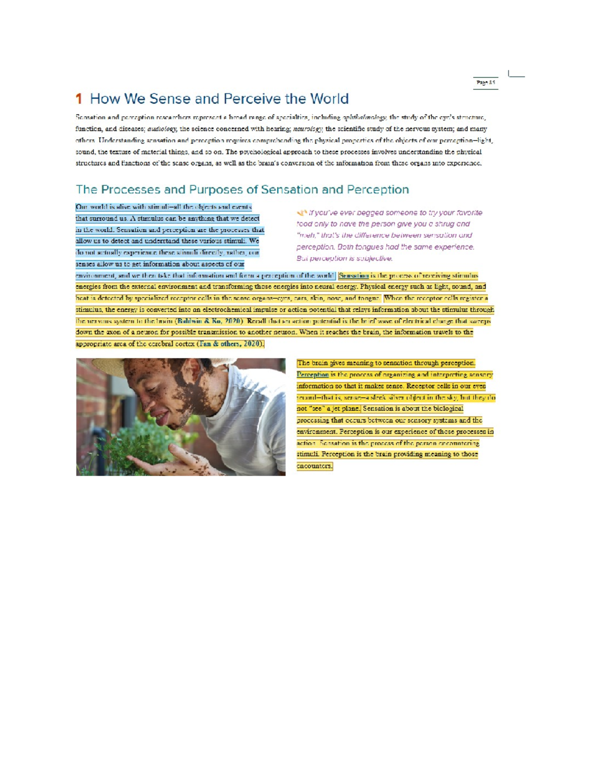 ENG101: Sensation and Perception - Understanding Our Senses and ...