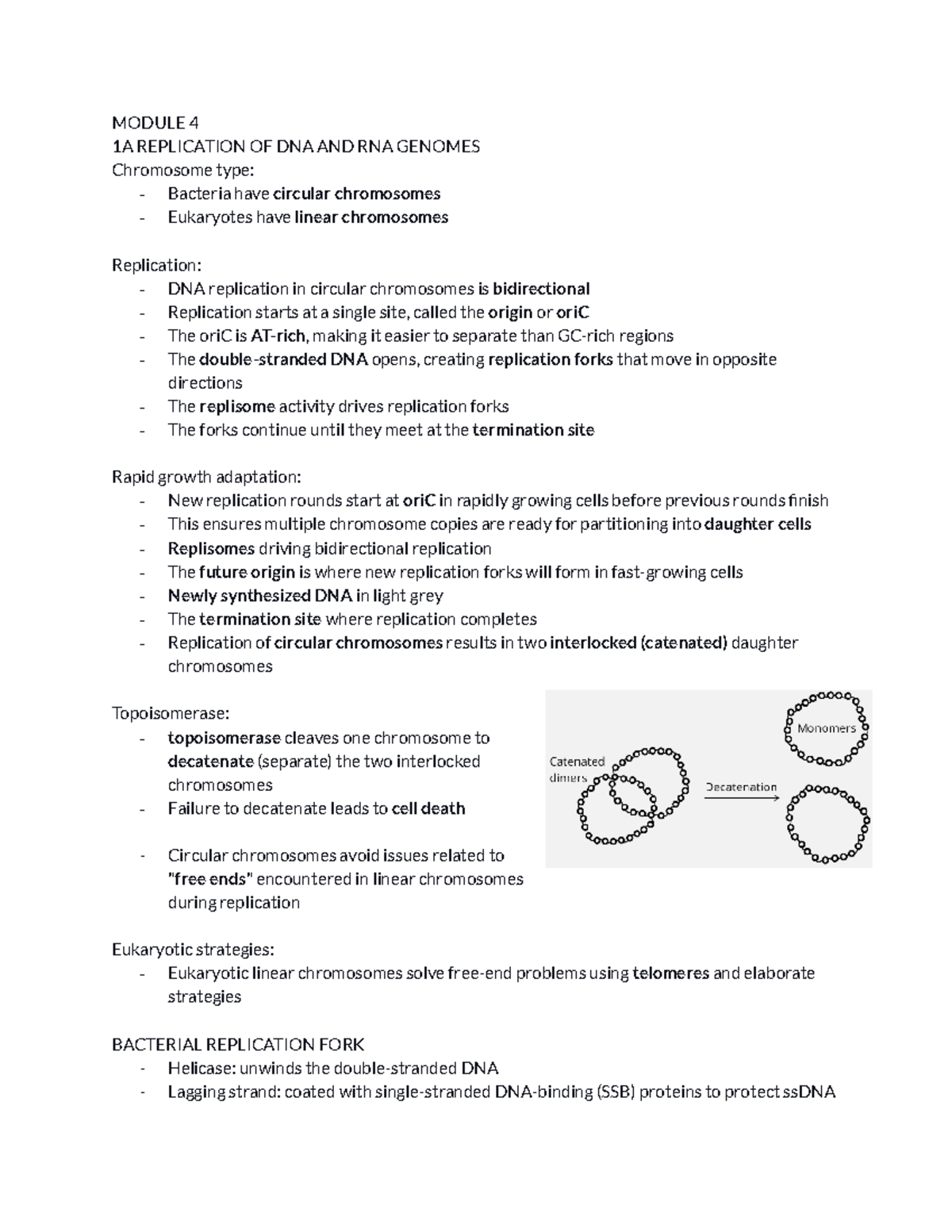 DNA Replication & Gene Regulation Processes - BIO 301 Module 4 Notes ...