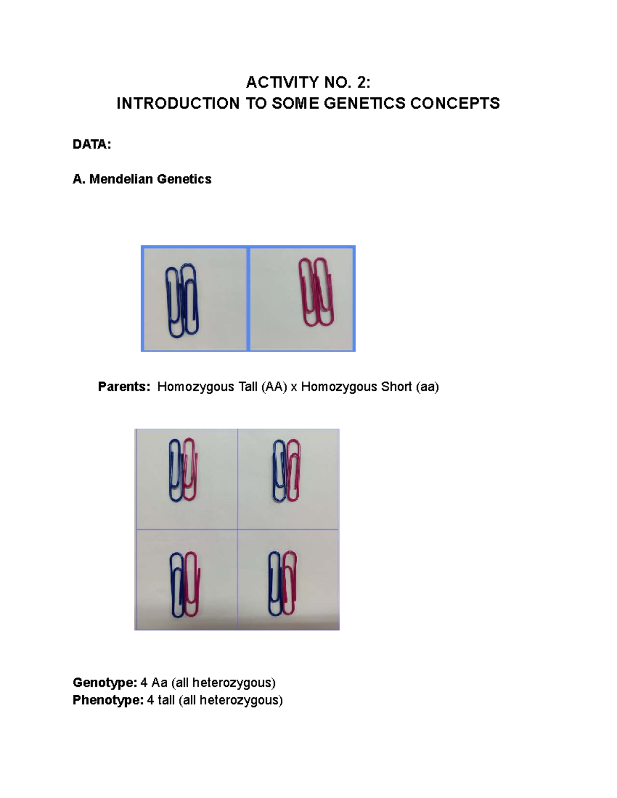 Genetics Lab Activity: Intro to Mendelian Genetics & Protein Coding ...