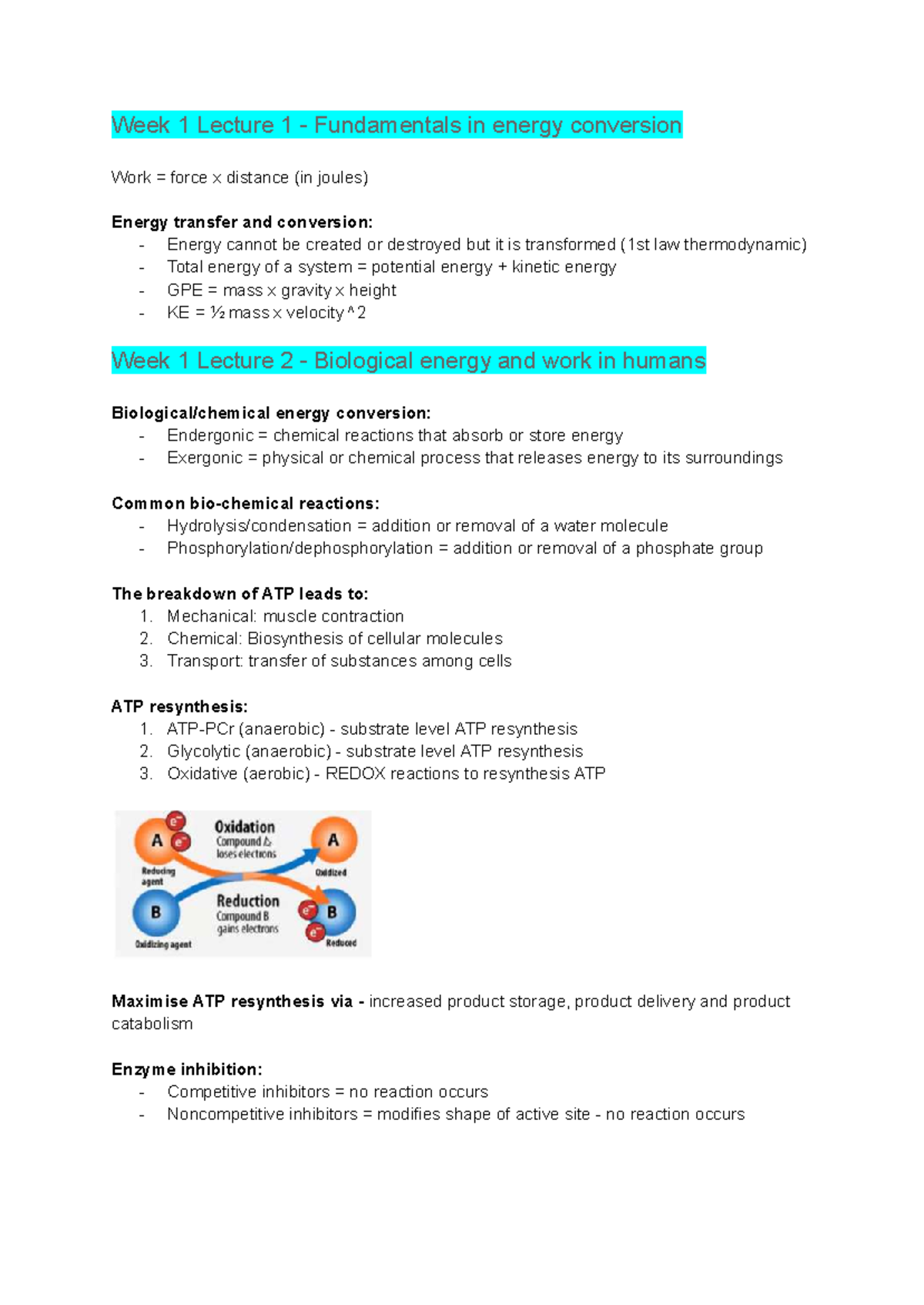 Week 1-2 Lecture Notes on Energy Conversion and Metabolism - Studocu