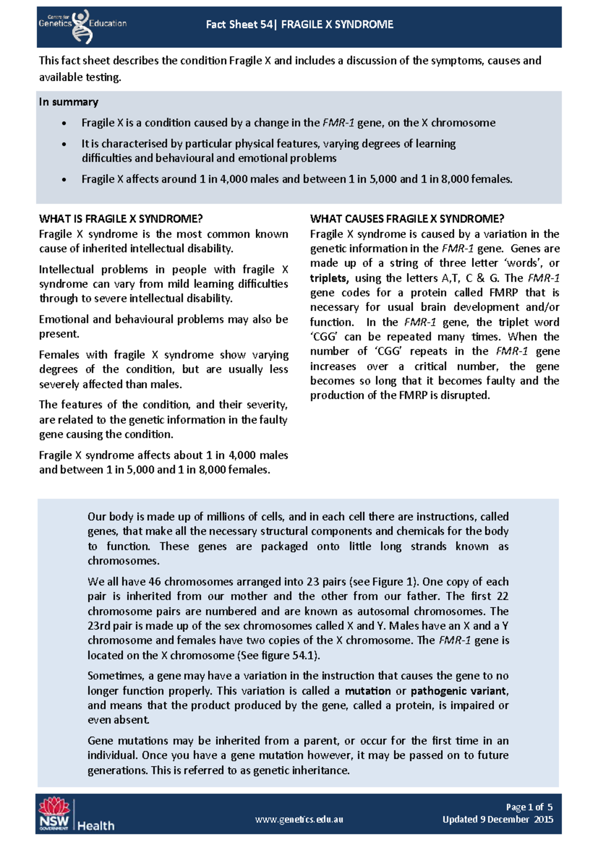 Fact Sheet 54: Overview of Fragile X Syndrome and Genetics - Studocu