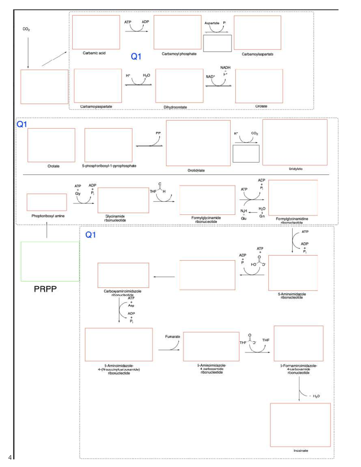 M7: Metabolism Poster - Key Pathways and Compounds, Part 4 - Studocu
