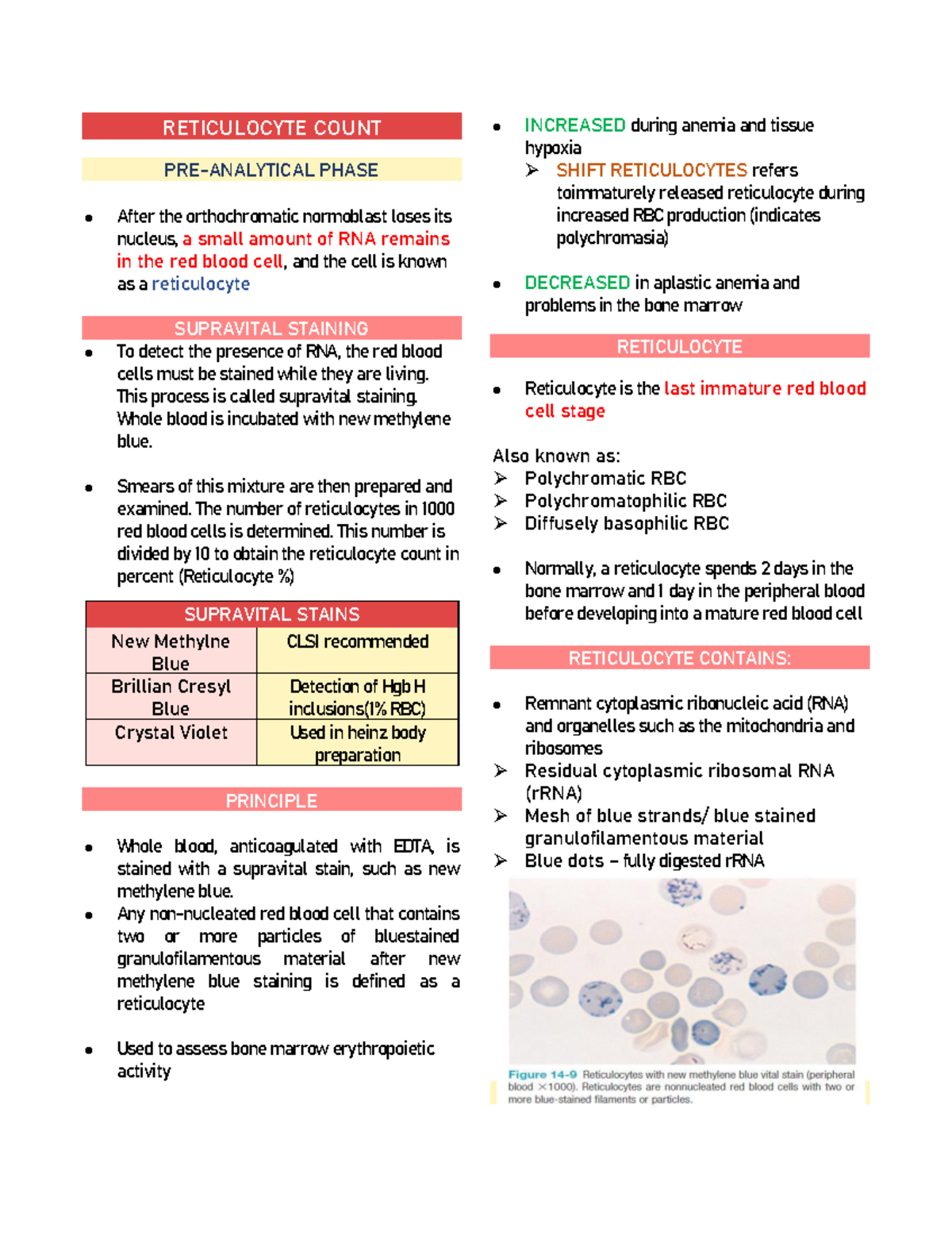 Reticulocyte Count Study Guide: Key Concepts and Procedures - Studocu