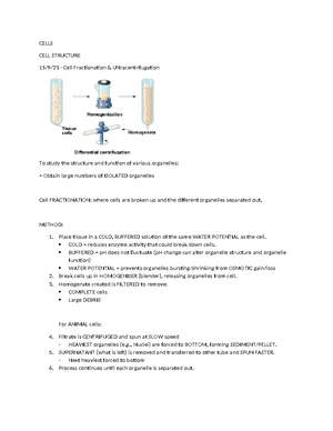 Cell Fractionation - Study Notes & Assignments - Studocu