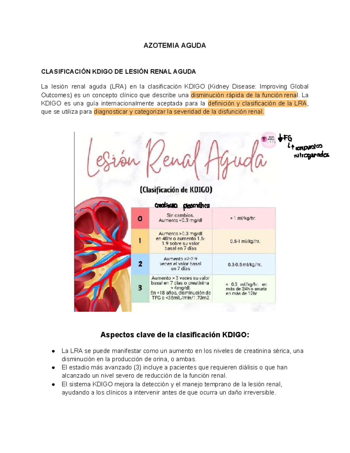 Azotemia Aguda: Clasificación KDIGO y Fisiopatología Renal - Studocu