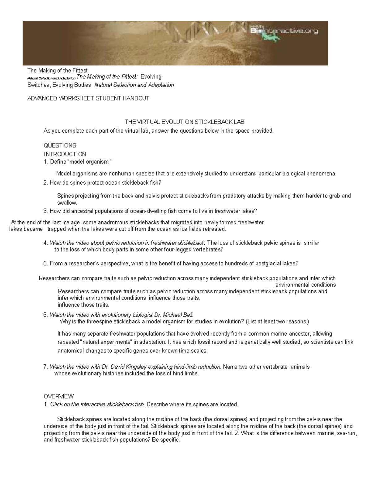 Stickleback Evolution Lab: Natural Selection & Adaptation Worksheet ...