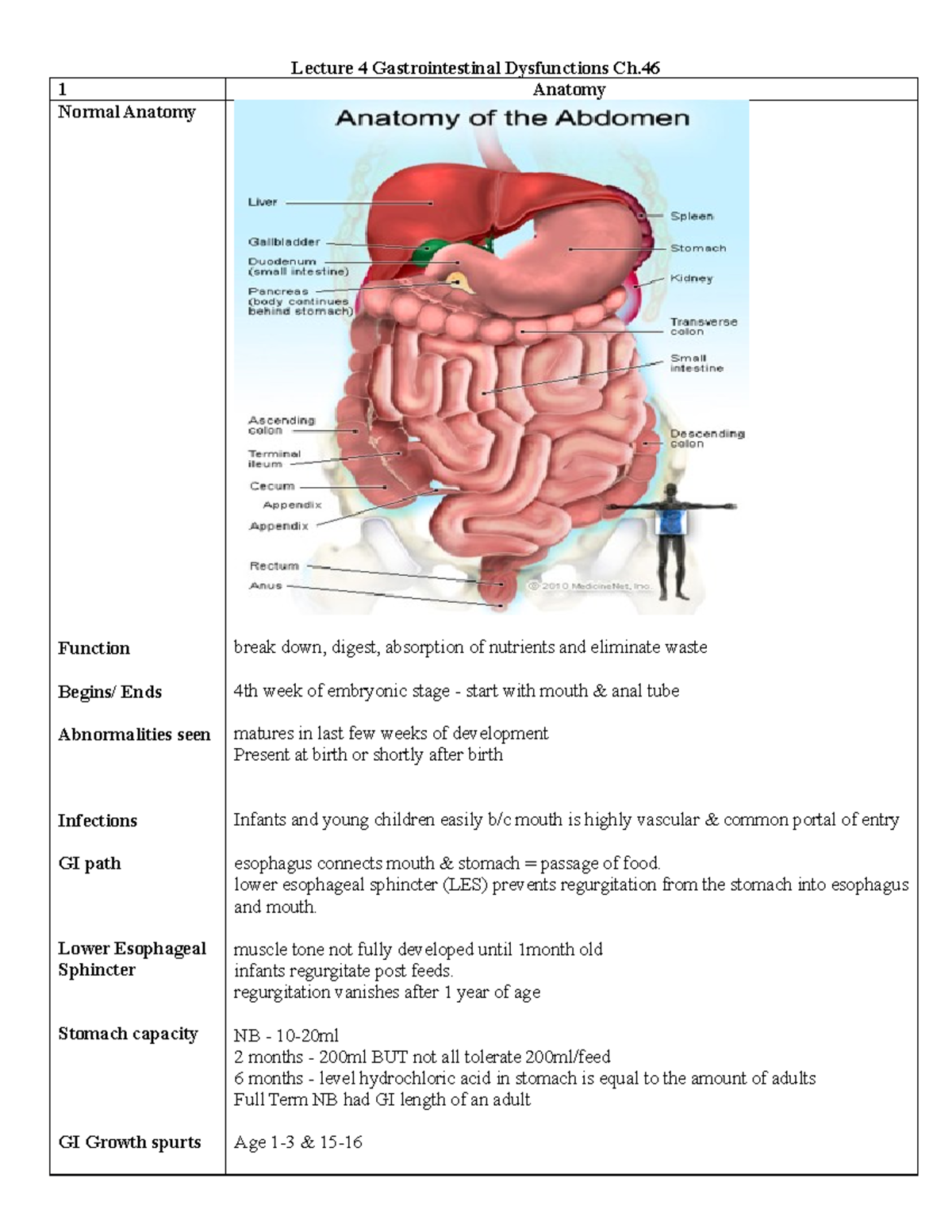Lecture 4 GI Ch - Lecture 4 Gastrointestinal Dysfunctions Ch. 1 Anatomy ...