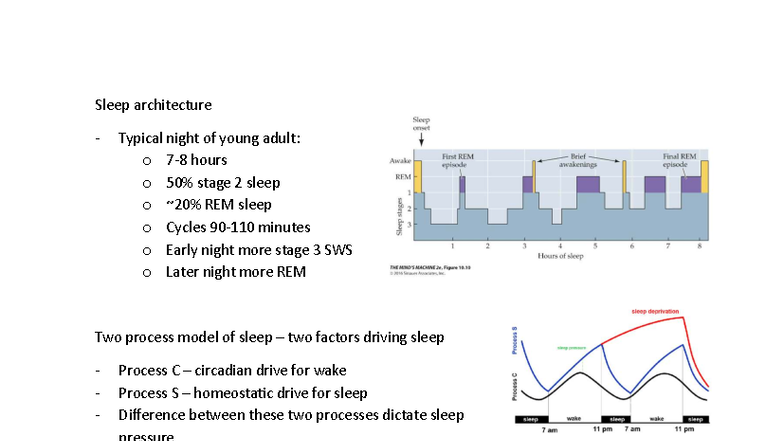 12 MOD 3 - Sleep Architecture and Health Implications - Studocu