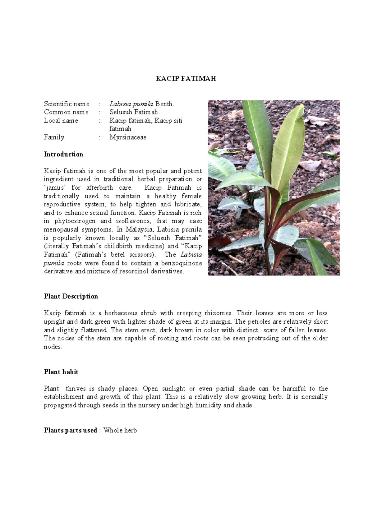 Kacip Fatimah: Traditional Uses & Plant Characteristics Overview - Studocu