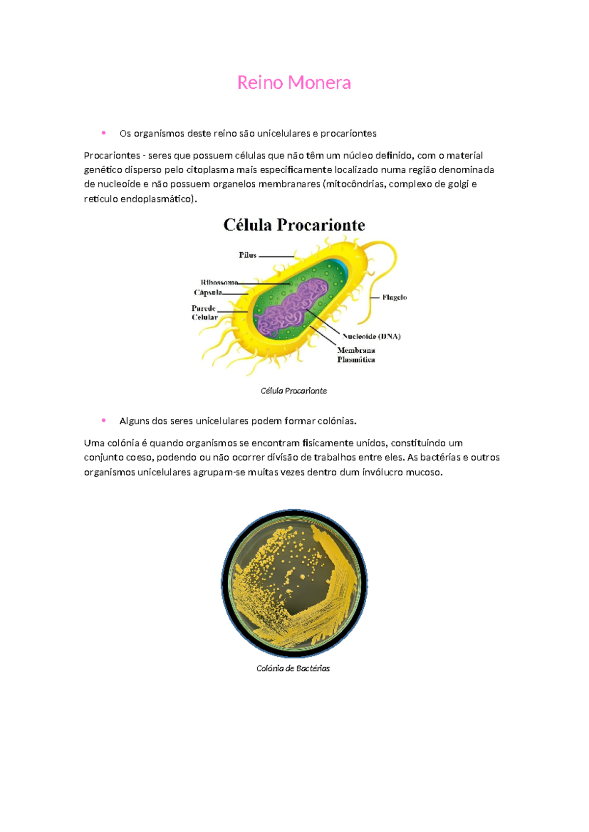 Estudo do Reino Monera: Características e Classificação dos Procariontes -  Studocu