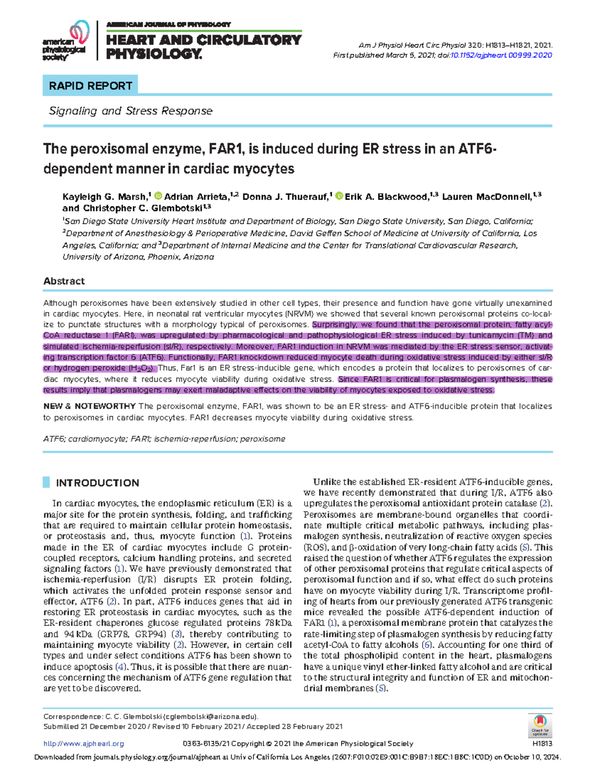 FAR1 Induction During ER Stress in Cardiac Myocytes: Insights from ATF6 ...