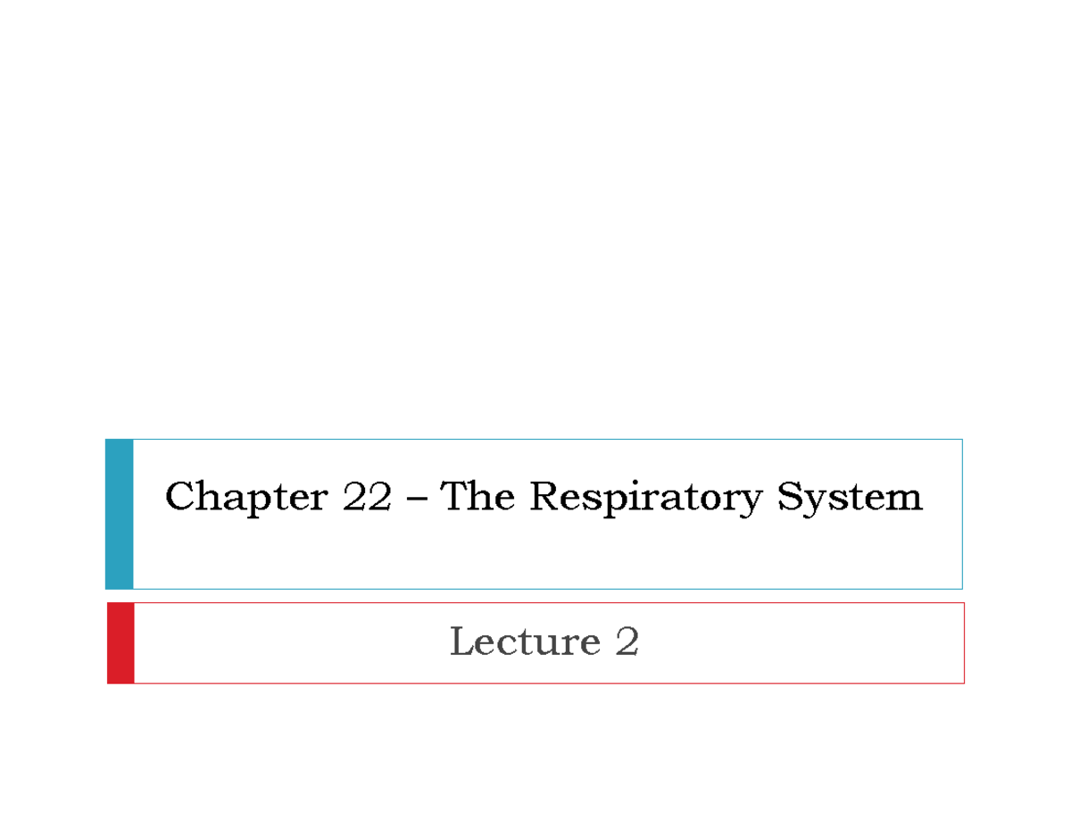 Chapter 22 – Respiratory System Lecture 2: The Bronchial Tree and Gas ...