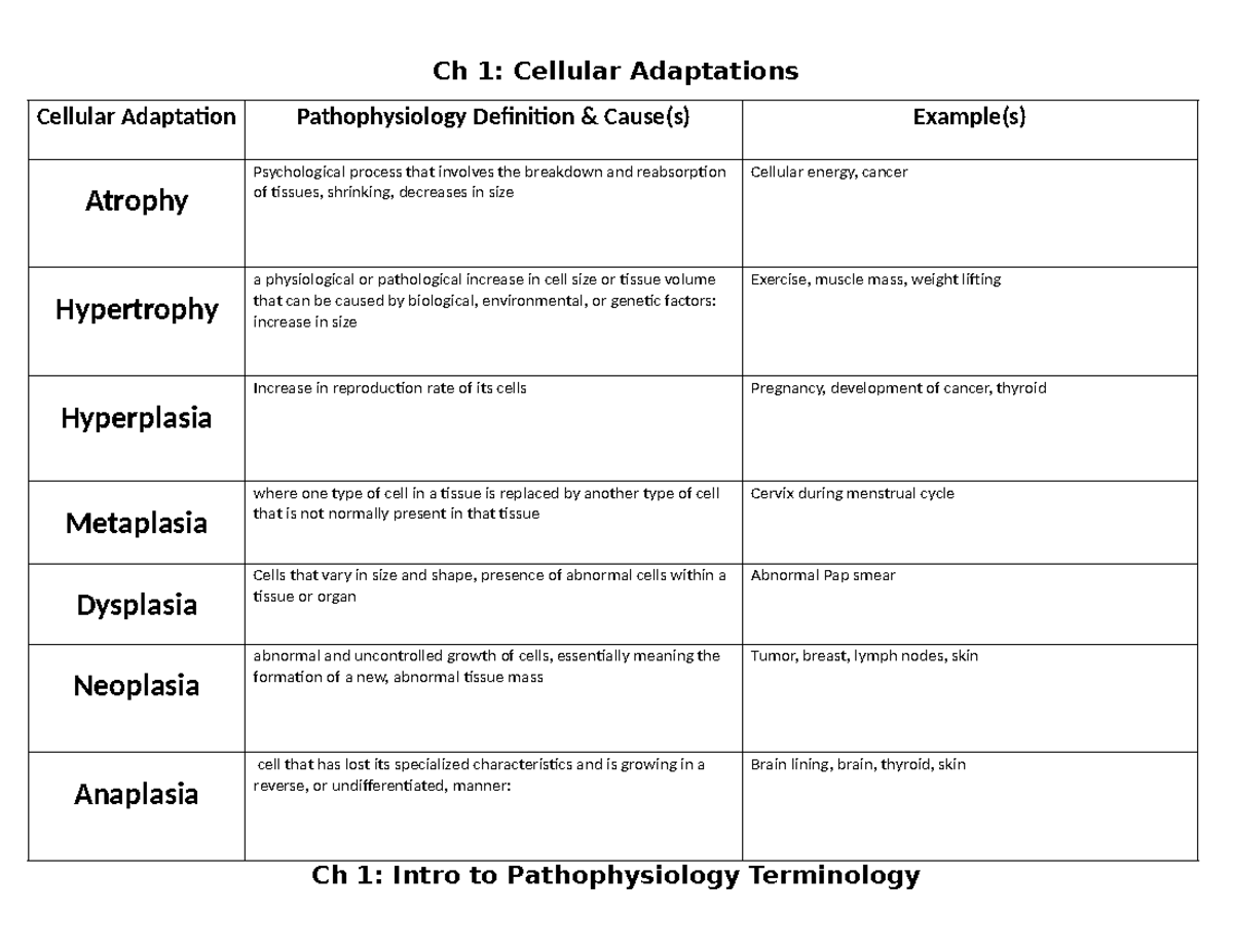 W1 Intro to Patho and Cellular Adaptations Template - Ch 1: Cellular ...