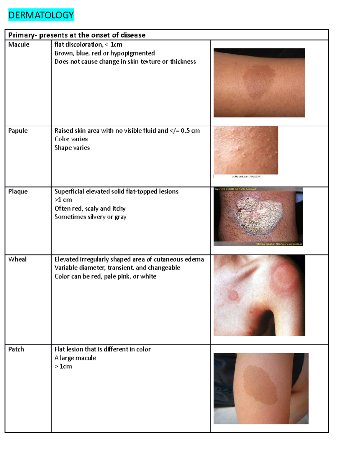 Dermatology Exam 1 Study Guide: Key Concepts & Terminology - Studocu