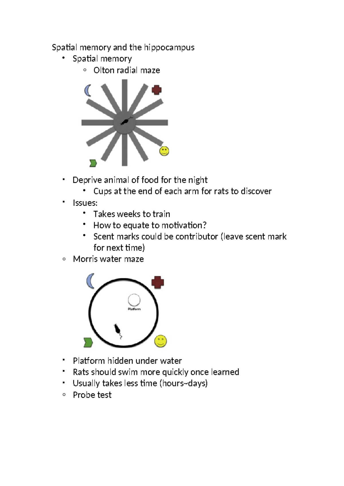 Lec 4 notes - Spatial memory and the hippocampus Spatial memory o Olton ...