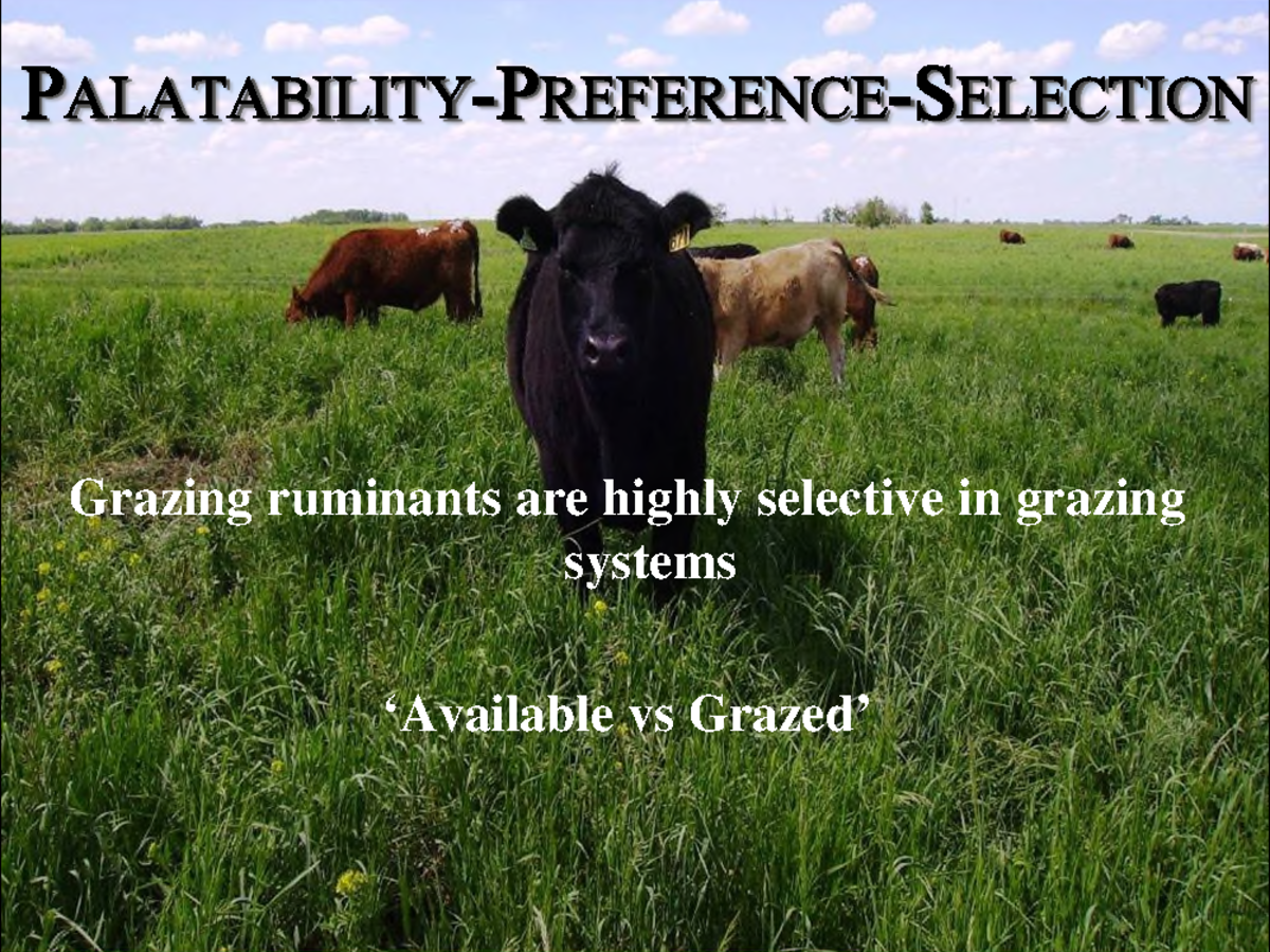 Guide to Toxic Plants for Cattle in Western Canada (Course Code: ANSC ...