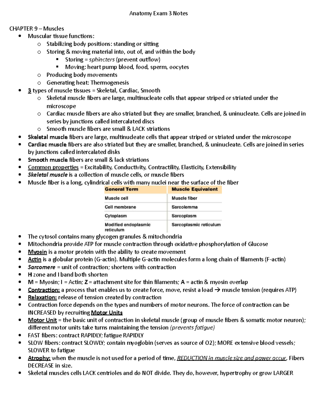 Anatomy 101 Exam 3 Study Notes on Muscle Tissues and Functions - Studocu