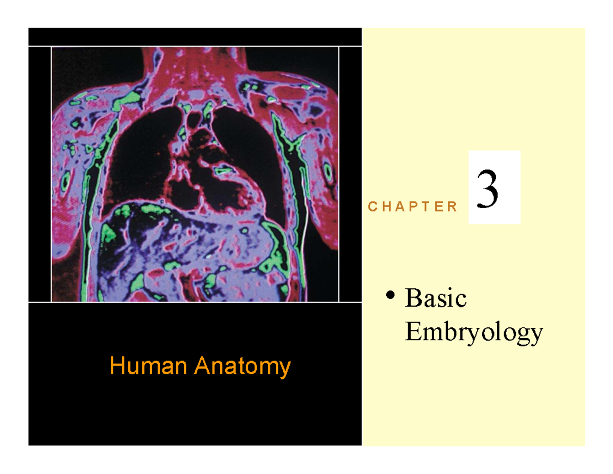 Embryology Overview: Formation and Developmental Stages (ANAT 101) - C ...