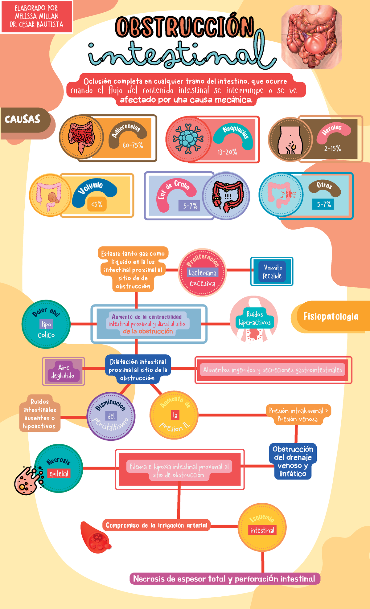 Obstrucción Intestinal: Causas, Fisiopatología y Resolución - Document Preview