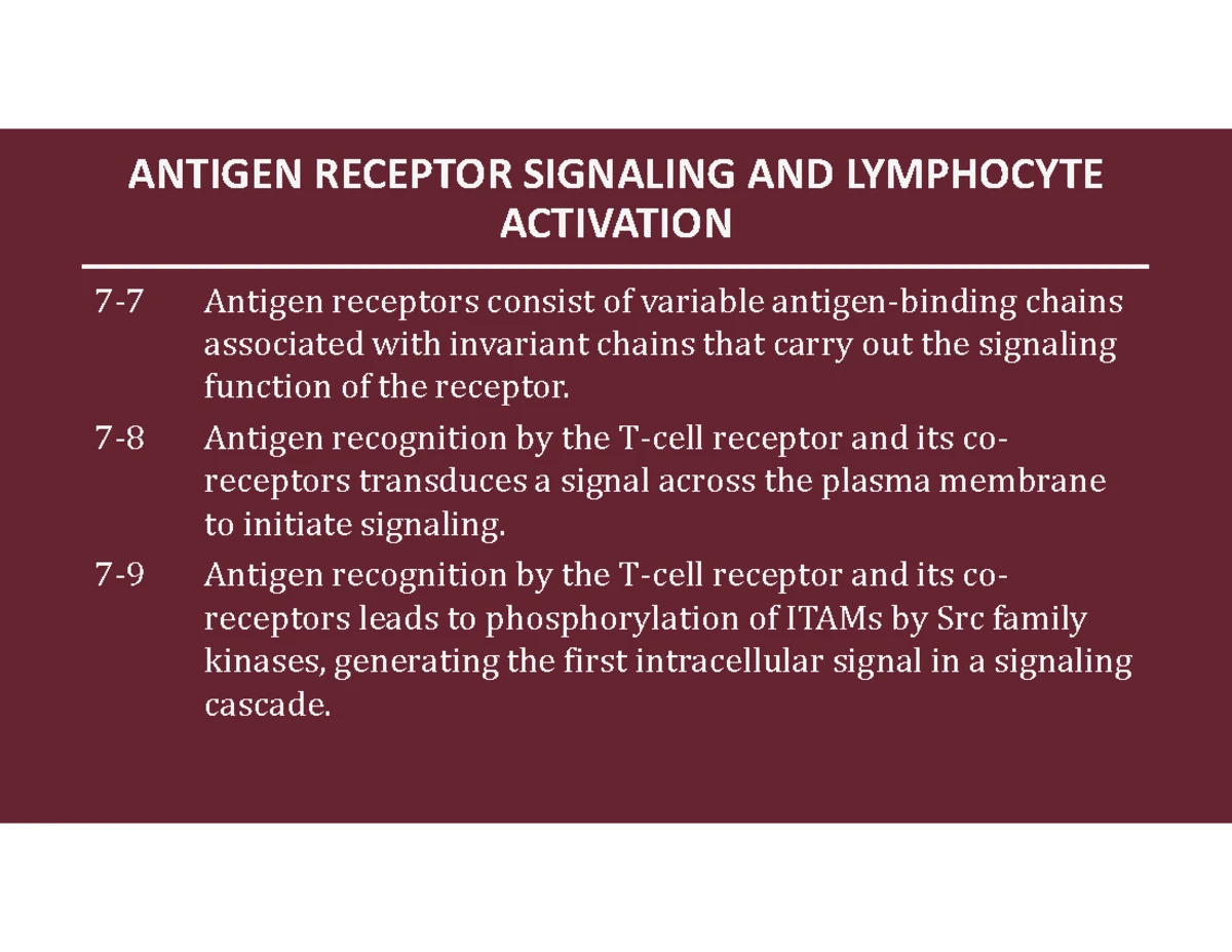 Antigen Receptor Signaling and Lymphocyte Activation - Biology Overview ...